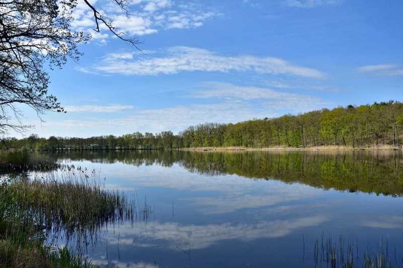 Gohlitzsee