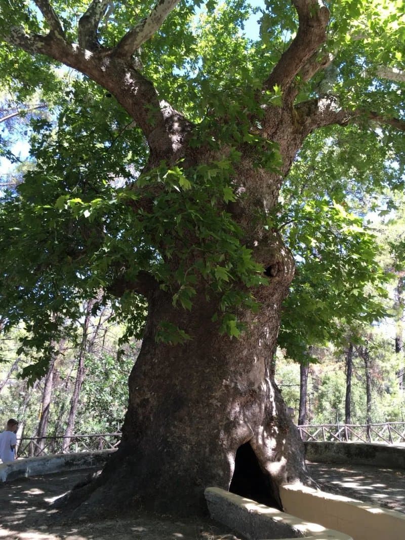 Agios Nektarios