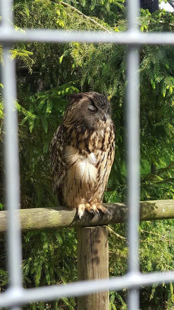 Cumberland Wildpark Grünau