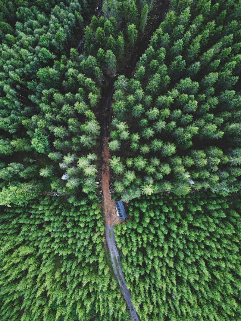 Inforest