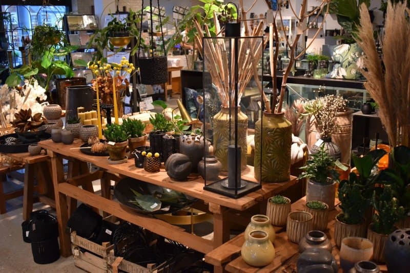 Livingshop Blavand