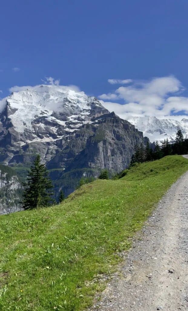 Mountain View Trail