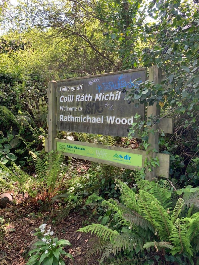 Rathmichael Wood