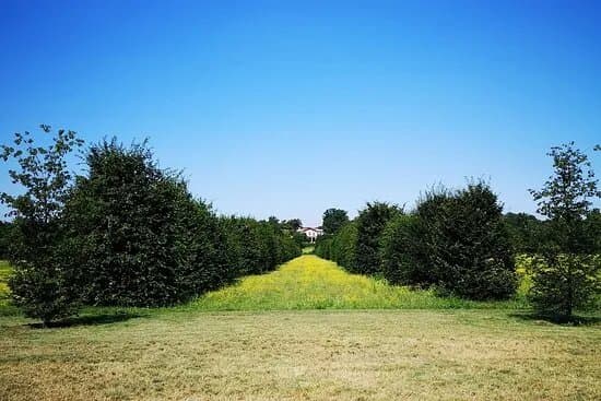 Parco di Monza