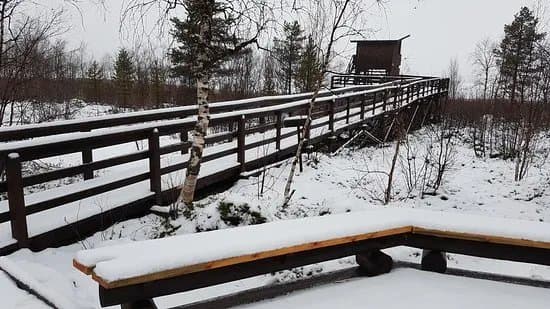 Sotkajarvi bird watching tower