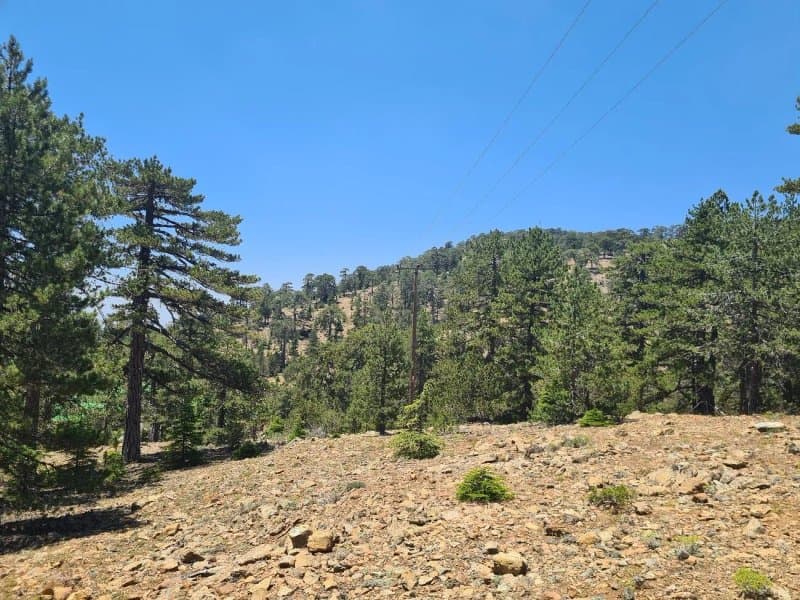 Troodos Mountains