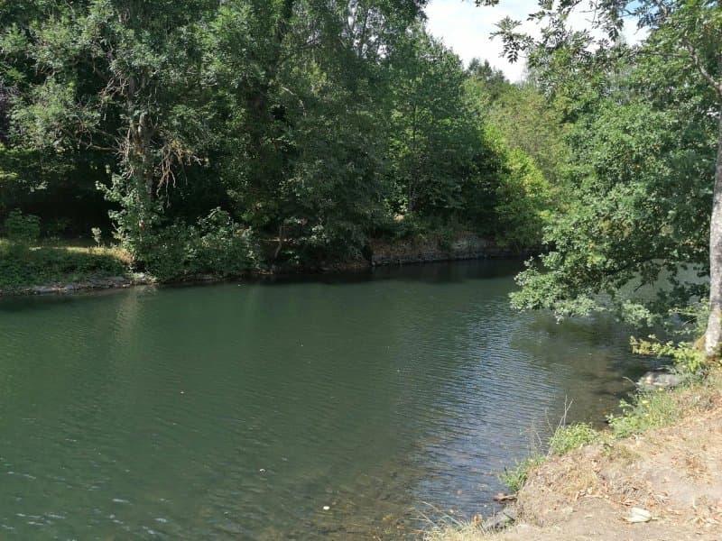 Camping Um Wirt