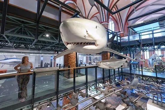 Meeresmuseum
