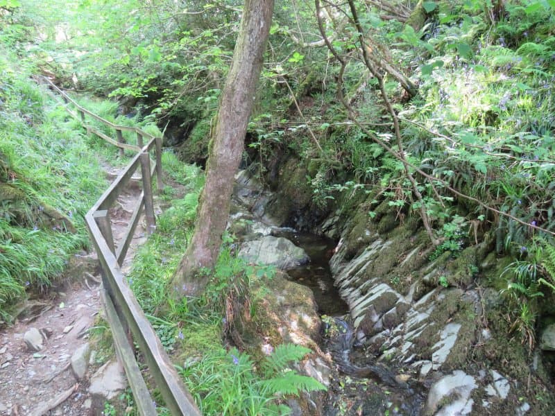 Dhoon Glen