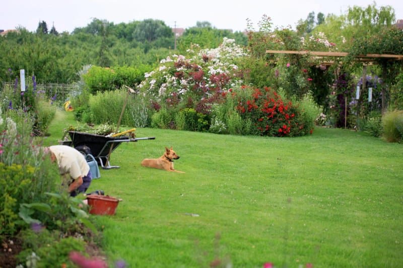 Les Jardins de Coursiana