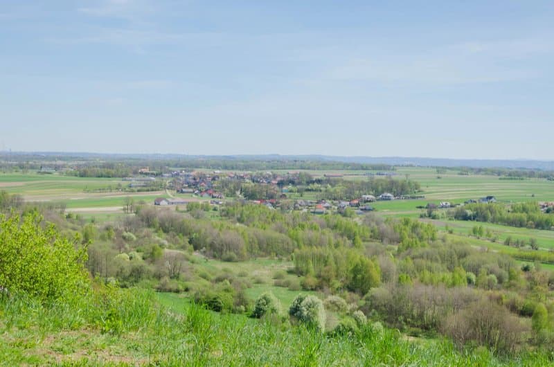 Kajasowka