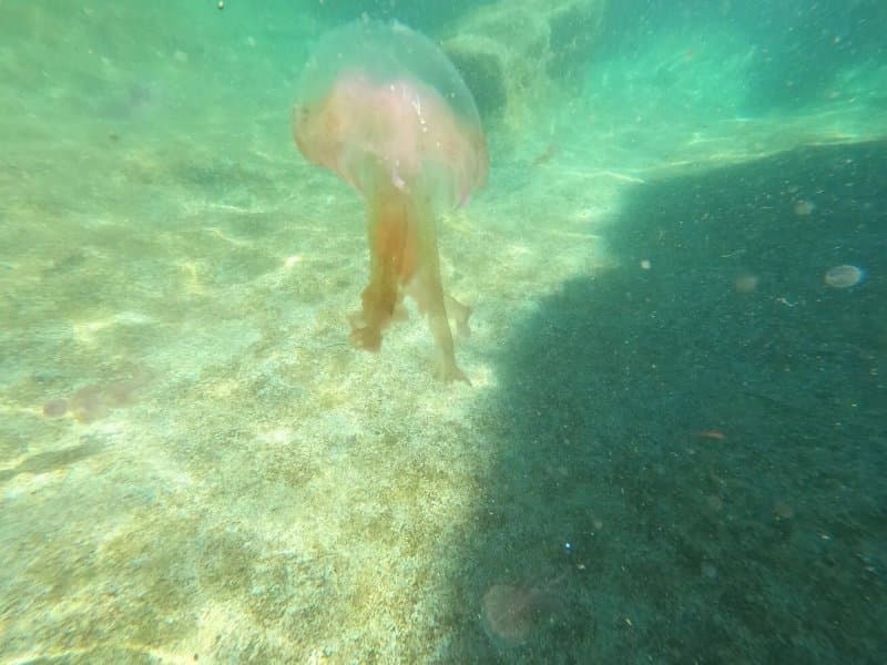 Scuba Life Malta