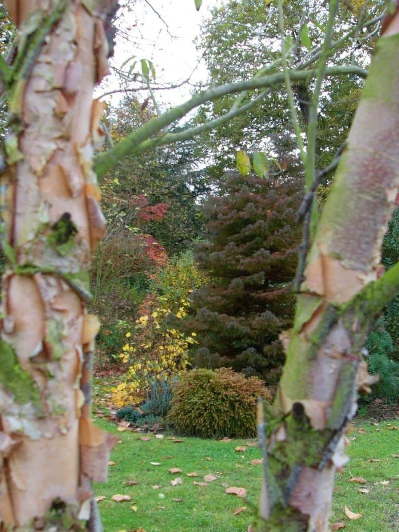 Le Jardin Brode