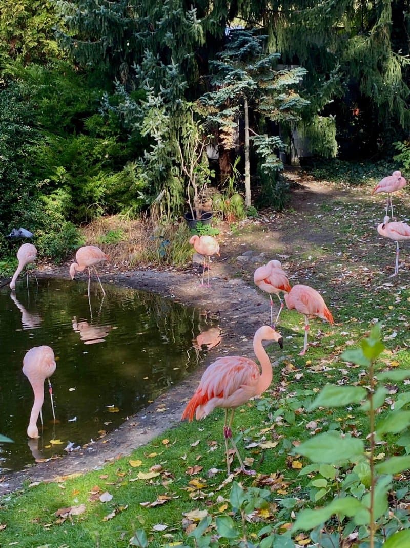 Warsaw Zoo
