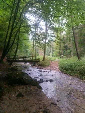 Raclawki Valley
