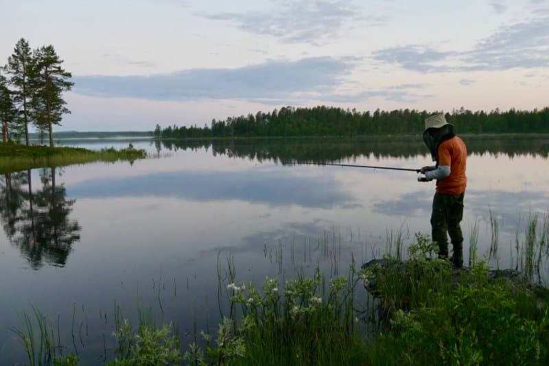 Pasvik Nature Reserve