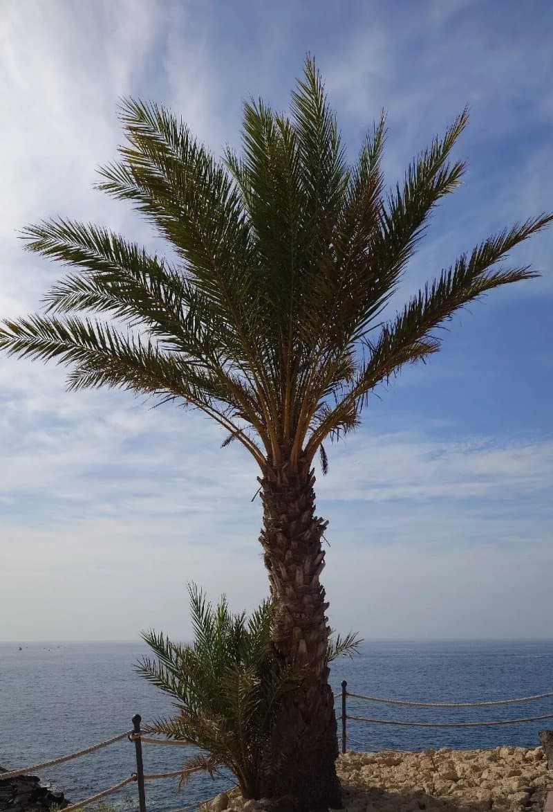 Costa Adeje