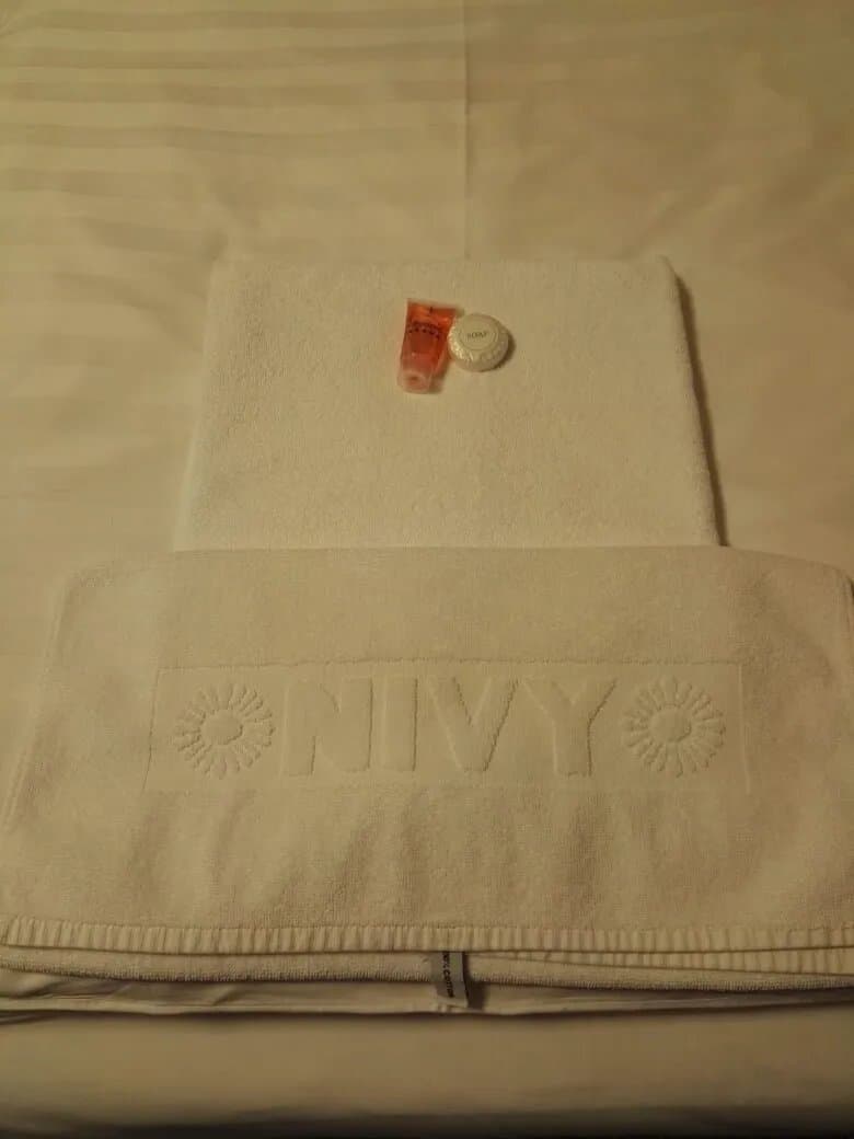 Hotel Nivy