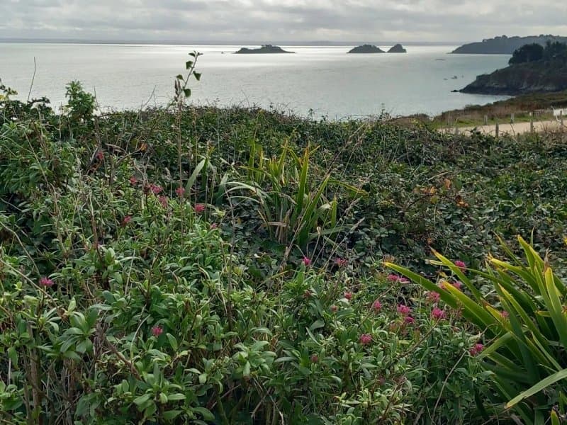 Pointe Du Grouin
