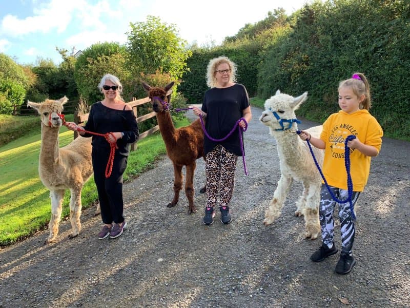 Pitt Farm Holiday Cottages