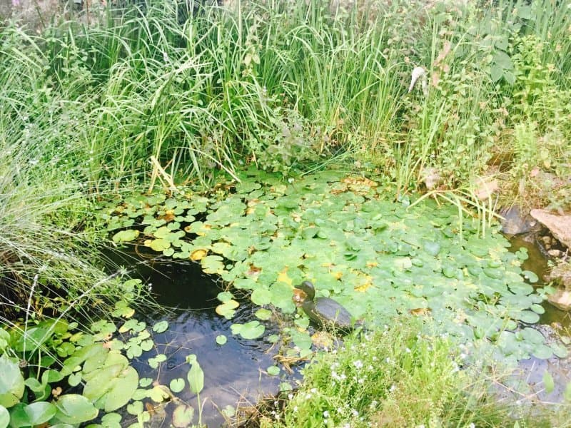 Le Logis de la Voulzie