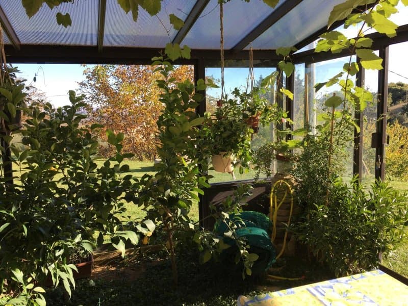 B&B Le Fontanelle e l'Uliveto