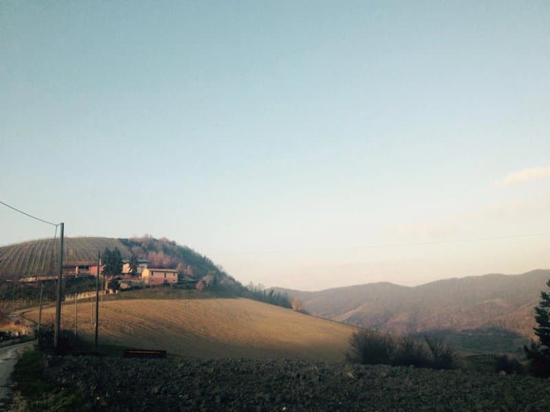 Agriturismo Mondo Antico
