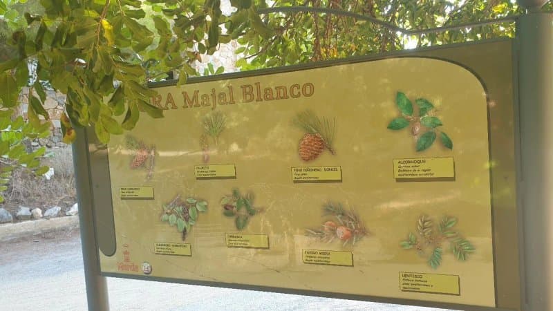 El Majal Blanco