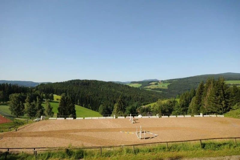 Der Ponyhof Familienhotel