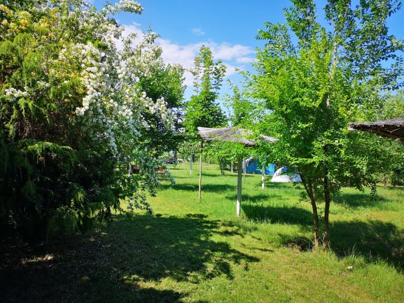 Camping & Motel - Marina Park