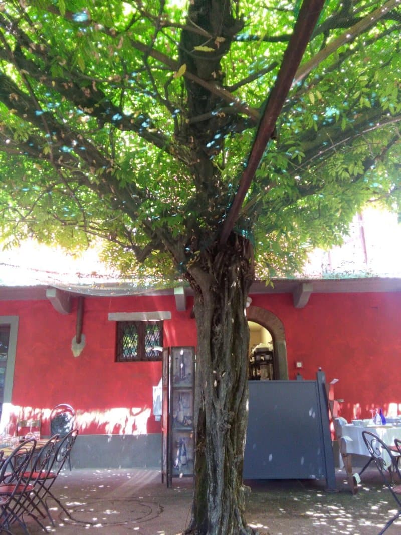 Al Tagliere di Nese