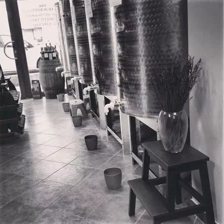 Cantina Michelotti