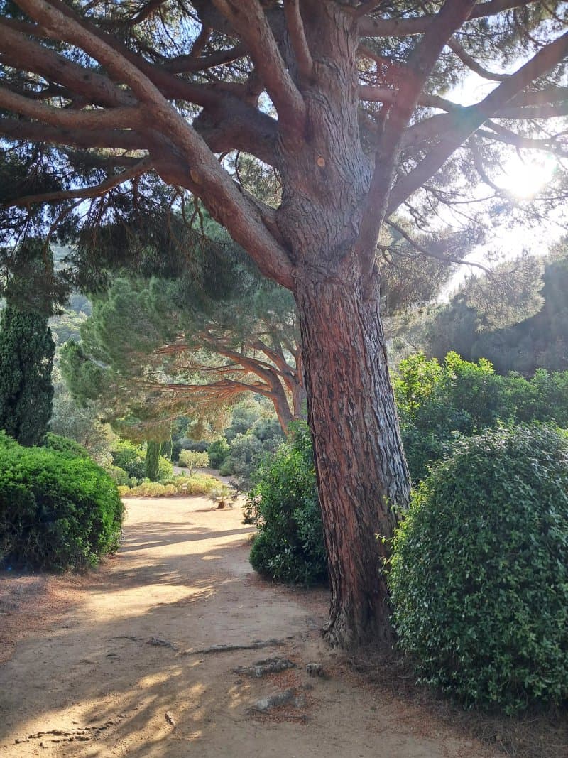 Parc de Saleccia
