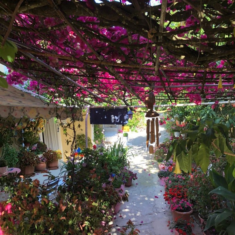 Nitsa Rooms