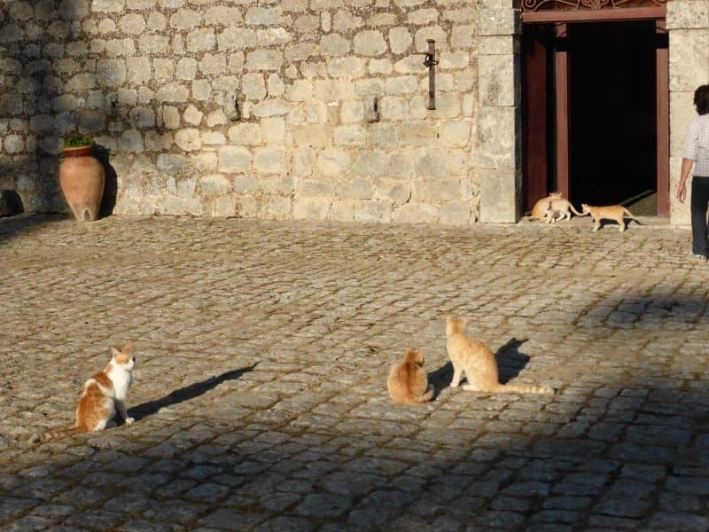 Masseria Mandrascate