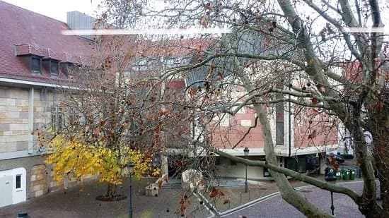 Freiburger Synagoge