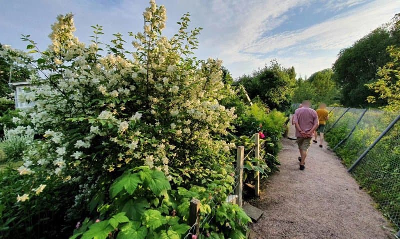 Vallila Allotment Garden
