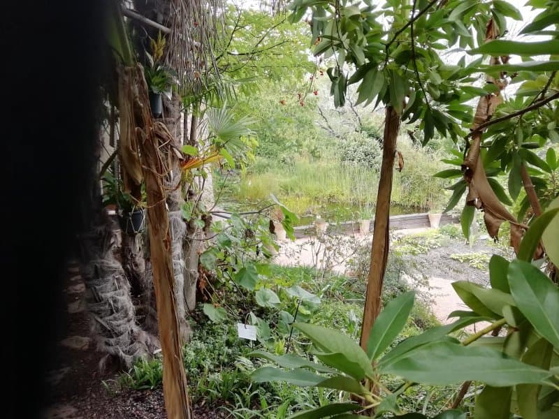 Jardin des Paradis