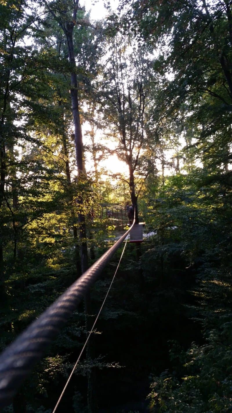Skypark Kletterwald