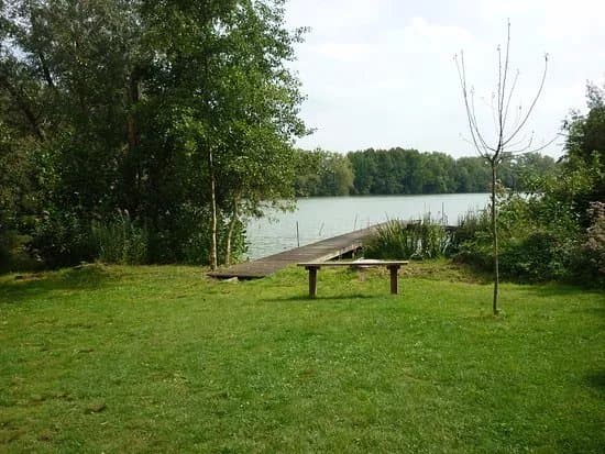Vlindertuin