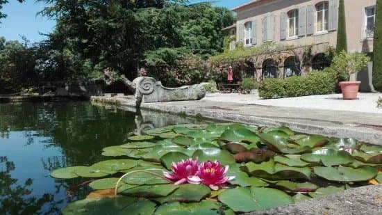 Chateau Saint Esteve