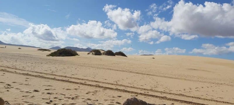 Playa Larga