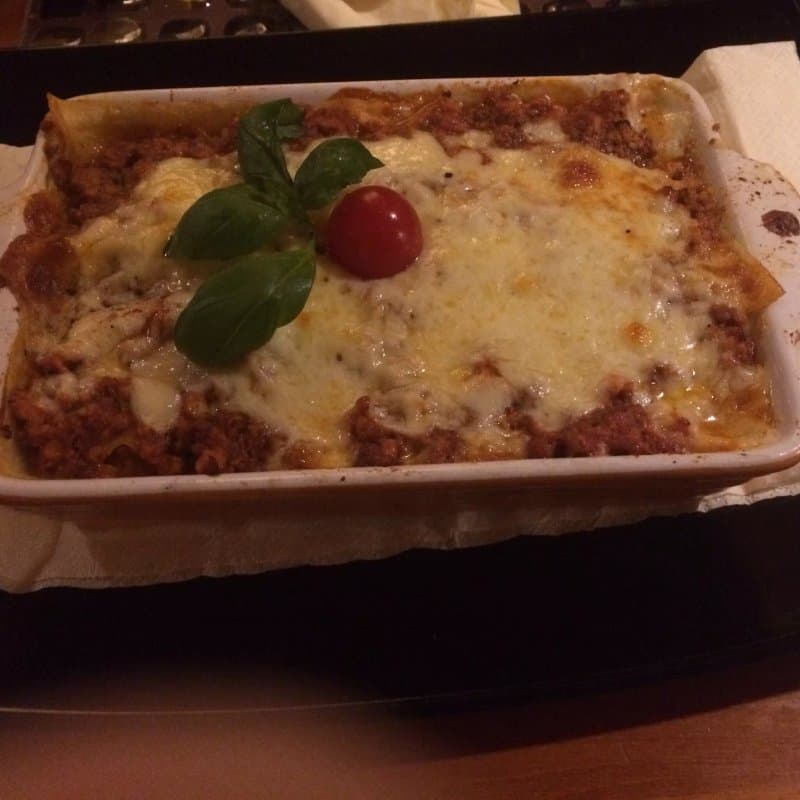 Kojot