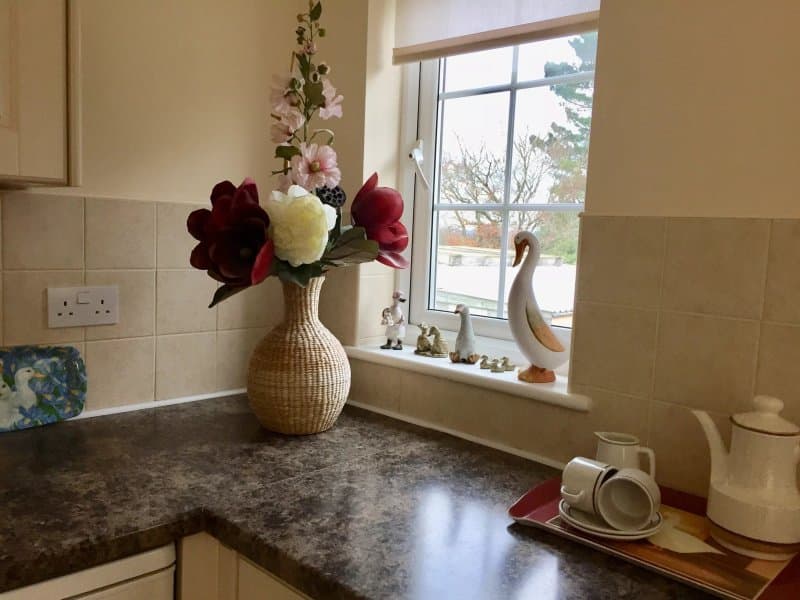 Torridge House Cottages
