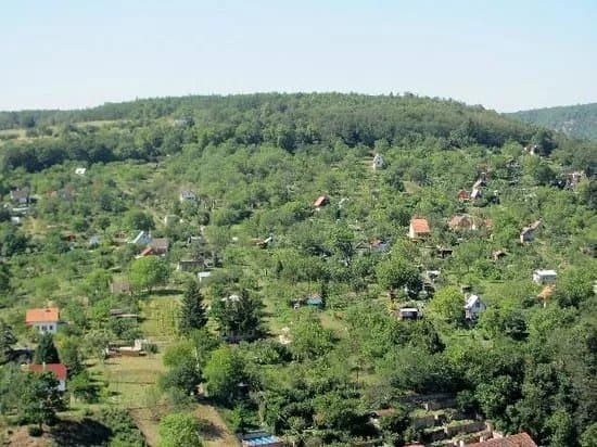 Cow Mountain