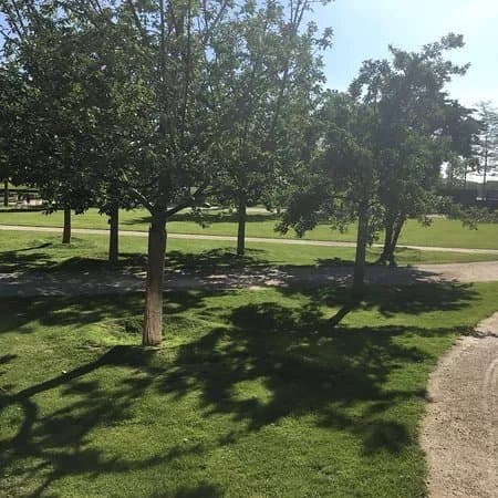Lohsepark