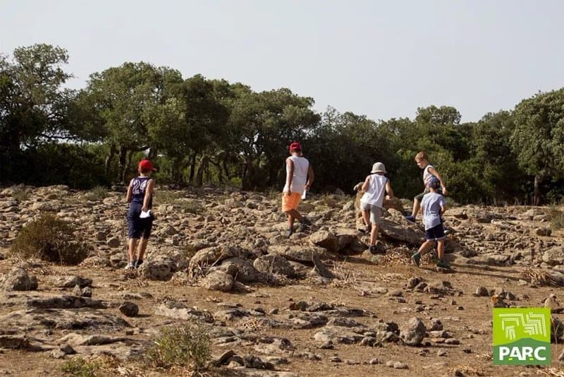 Museo Parc - Museo Paleontologico, Archeologico e Laboratorio didattico