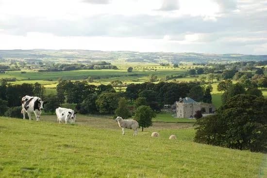 Hellifield Peel Castle