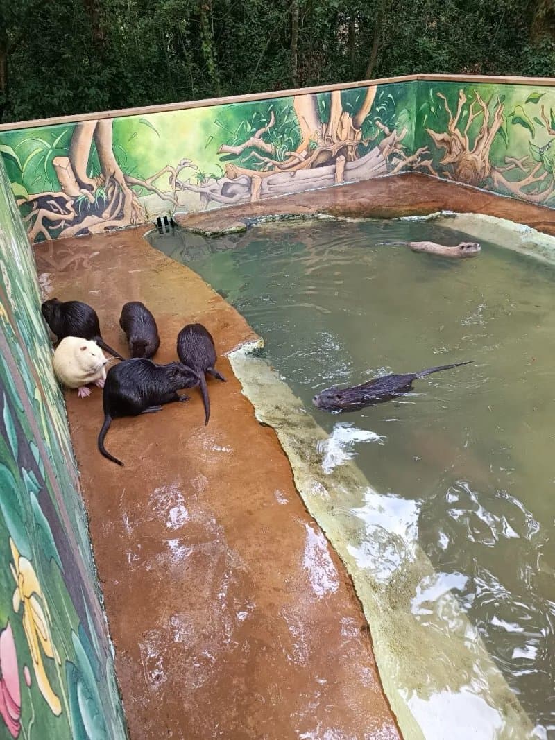 Le Parc Myocastors
