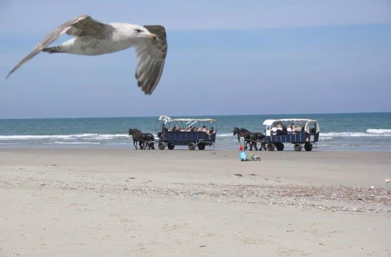 Puur Terschelling